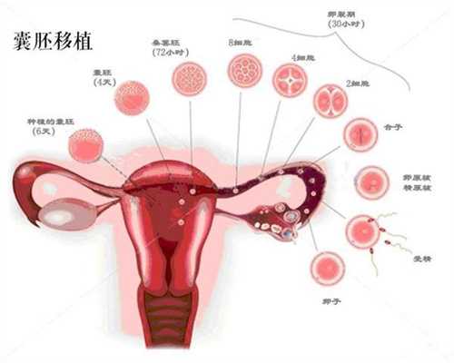 北京代孕可以选择性别吗-国外可以代孕