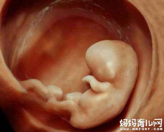 北京哪儿能做供卵试管~怀孕2个月胎儿大小的秘密简直萌化了有木有！