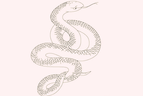 浙江哪里能做供卵试管婴儿_蛇的简笔画画法 最简单详细的小长蛇画法